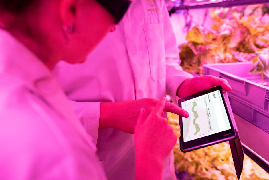 Scientists monitor crop growth in an indoor farm using digital tablets for efficient data analysis